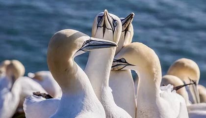 北京最新的高价医保个人账户余额微信查询方法分享(北京医保查询个人账户明细怎么查微信教程)