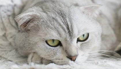 北京最新的高价医保个人账户余额微信查询方法分享(北京医保查询个人账户明细怎么查微信教程)