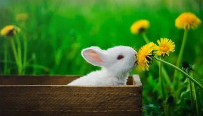 北京最新的高价医保个人账户余额微信查询方法分享(北京医保查询个人账户明细怎么查微信教程)